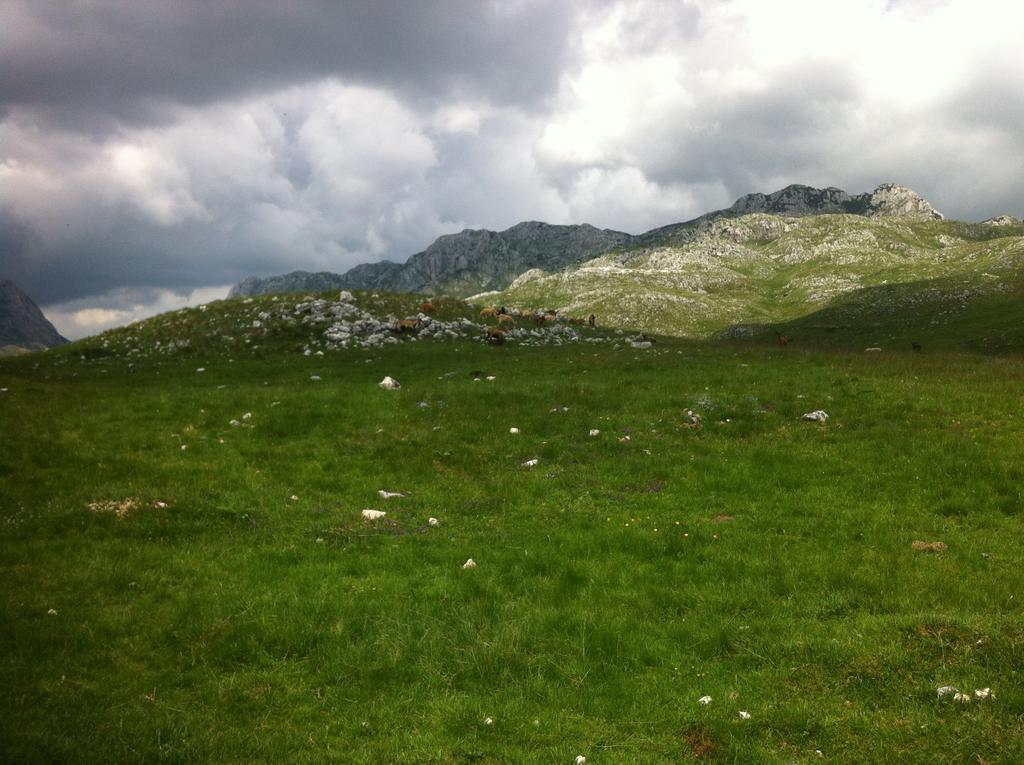 Boskovica Brvnare Guest House Zabljak  Bagian luar foto